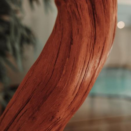 Residence Hotel Alpinum Κάμπο Τούρες Εξωτερικό φωτογραφία