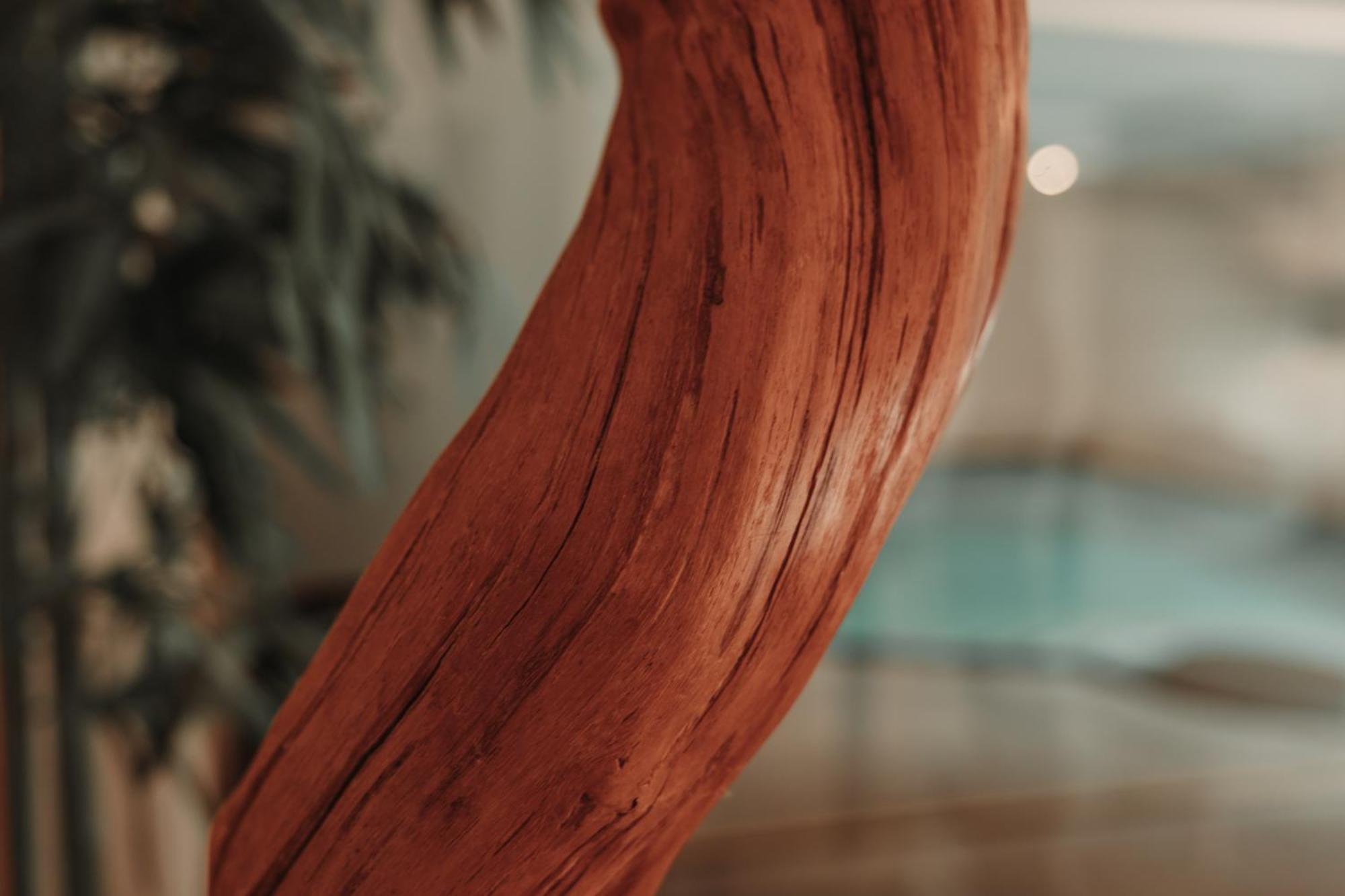 Residence Hotel Alpinum Κάμπο Τούρες Εξωτερικό φωτογραφία
